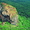 Каникулы на Шри-Ланке - <ro>Изображение</ro><ru>Изображение</ru> #4, <ru>Объявление</ru> #367141