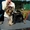 щенки йоркширского терьера, перспективные для выставок, 7 месяцев - <ro>Изображение</ro><ru>Изображение</ru> #1, <ru>Объявление</ru> #382002