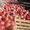 Яблоко, столовый виноград Молдова  - <ro>Изображение</ro><ru>Изображение</ru> #1, <ru>Объявление</ru> #377059