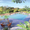 ландшафтний дизайн від Патоля:газони та водоєми                                  - <ro>Изображение</ro><ru>Изображение</ru> #2, <ru>Объявление</ru> #384363