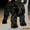 Очаровательные щенки русского черного терьера,  кобели для вязок #394043