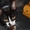Котенок Том Сойэр в юбке в дар - <ro>Изображение</ro><ru>Изображение</ru> #5, <ru>Объявление</ru> #362592