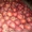 Яблоко, столовый виноград Молдова  - <ro>Изображение</ro><ru>Изображение</ru> #3, <ru>Объявление</ru> #377059