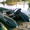 надувные лодки ПВХ Aviks - <ro>Изображение</ro><ru>Изображение</ru> #2, <ru>Объявление</ru> #404204
