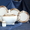 Фарфоровые сервизы "Luisenburg" (fine porcelain bavaria) на 20 и 26 предметов. - <ro>Изображение</ro><ru>Изображение</ru> #1, <ru>Объявление</ru> #397951