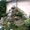 ландшафтный дизайн от Патоля : вертикальные сады и водоемы на стенах            - <ro>Изображение</ro><ru>Изображение</ru> #4, <ru>Объявление</ru> #446676