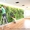 ландшафтный дизайн от Патоля : вертикальные сады и водоемы на стенах            - <ro>Изображение</ro><ru>Изображение</ru> #2, <ru>Объявление</ru> #446676