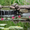 Ландшафтный дизайн от Патоля : пруды,ручьи и фонтаны - <ro>Изображение</ro><ru>Изображение</ru> #2, <ru>Объявление</ru> #451137