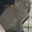 Шотландские котята / Британская короткошерстная - <ro>Изображение</ro><ru>Изображение</ru> #3, <ru>Объявление</ru> #448861