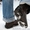 Накладки на обувь против гололеда и снега ВинтерТракс - <ro>Изображение</ro><ru>Изображение</ru> #3, <ru>Объявление</ru> #432600