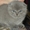 Шотландские котята / Британская короткошерстная - <ro>Изображение</ro><ru>Изображение</ru> #1, <ru>Объявление</ru> #448861