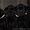 Черные щенки Лабрадора Ретривера #481111
