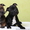 Стаффордширского бультерьера щенки - <ro>Изображение</ro><ru>Изображение</ru> #4, <ru>Объявление</ru> #482581