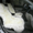 Автомобильные чехлы из овчины - <ro>Изображение</ro><ru>Изображение</ru> #2, <ru>Объявление</ru> #510918