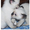 Сиамский (тайский) котёнок - <ro>Изображение</ro><ru>Изображение</ru> #2, <ru>Объявление</ru> #500895