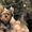 Йоркширский терьер щенок-мини (мальчик)