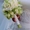 Свадебная арка из живых цветов, Столик для росписи - <ro>Изображение</ro><ru>Изображение</ru> #6, <ru>Объявление</ru> #528313