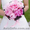 Букет невесты, свадебный букет, свадебная арка, оформление свадьбы - <ro>Изображение</ro><ru>Изображение</ru> #6, <ru>Объявление</ru> #545404