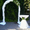 Свадебная арка из живых цветов, - <ro>Изображение</ro><ru>Изображение</ru> #4, <ru>Объявление</ru> #531316