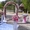 Аренда свадебной арки,  Свадебная арка  - <ro>Изображение</ro><ru>Изображение</ru> #4, <ru>Объявление</ru> #528319