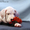 Роскошные щенки аргентинского дога - <ro>Изображение</ro><ru>Изображение</ru> #2, <ru>Объявление</ru> #546547