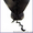 Лариат кружевной - <ro>Изображение</ro><ru>Изображение</ru> #1, <ru>Объявление</ru> #527198