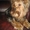 Продаются очаровательные щенки ЙОРКШИРСКОГО ТЕРЬЕРА МОЖНО В КРЕДИТ - <ro>Изображение</ro><ru>Изображение</ru> #2, <ru>Объявление</ru> #575770