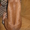 продаю щенка родезийского риджбека - <ro>Изображение</ro><ru>Изображение</ru> #2, <ru>Объявление</ru> #604778