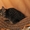 котята Курильского бобтейла - <ro>Изображение</ro><ru>Изображение</ru> #4, <ru>Объявление</ru> #622641