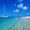 Остров Майорка,  жемчужина Балеарских островов - тур от 485 ЕВРО #642746