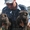 Продам щенков немецкой овчарки, 1,5 мес - <ro>Изображение</ro><ru>Изображение</ru> #2, <ru>Объявление</ru> #671102
