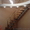 Лестницы Перила, поручни, ограждения - <ro>Изображение</ro><ru>Изображение</ru> #7, <ru>Объявление</ru> #664638