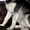 Аляскинский маламут  щенки - <ro>Изображение</ro><ru>Изображение</ru> #2, <ru>Объявление</ru> #661820