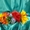 Украинский венок, венок из цветов,венок из полевых цветов - <ro>Изображение</ro><ru>Изображение</ru> #2, <ru>Объявление</ru> #684148