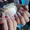 Наращивание ногтей, маникюр, педикюр в студии "Бон-Бон" - <ro>Изображение</ro><ru>Изображение</ru> #1, <ru>Объявление</ru> #683710
