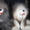 Продажа Киев Игрушки-марионетки(собаки и страусы) - <ro>Изображение</ro><ru>Изображение</ru> #3, <ru>Объявление</ru> #677032