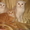котятки - шотландики - <ro>Изображение</ro><ru>Изображение</ru> #3, <ru>Объявление</ru> #577120