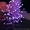 Световые деревья ,праздничное освещение,подсветка деревьев,новогодняя  - <ro>Изображение</ro><ru>Изображение</ru> #3, <ru>Объявление</ru> #712150