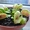 Цветок который есть мух Дионея Венерина мухоловка ( Dionaea muscipula) - <ro>Изображение</ro><ru>Изображение</ru> #1, <ru>Объявление</ru> #714109
