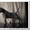 Веймаранер, щенки веймаранера рождены  04.06.2012 - <ro>Изображение</ro><ru>Изображение</ru> #3, <ru>Объявление</ru> #723774