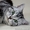 Американские короткошерстные котята - <ro>Изображение</ro><ru>Изображение</ru> #2, <ru>Объявление</ru> #730411