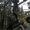 Кованые Ворота, калитки, Ковка. - <ro>Изображение</ro><ru>Изображение</ru> #3, <ru>Объявление</ru> #759969