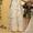 Свадебные платья tFlora   - <ro>Изображение</ro><ru>Изображение</ru> #1, <ru>Объявление</ru> #759837