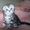  шотландские котята шоу класса - <ro>Изображение</ro><ru>Изображение</ru> #5, <ru>Объявление</ru> #755734