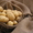 Продаж насіневої картоплі #769083