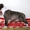 Предлагаются кпродаже щенки Миниатюрного Бультерьра.  - <ro>Изображение</ro><ru>Изображение</ru> #3, <ru>Объявление</ru> #798364