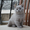 Британские котята лилового окраса #805148