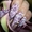 Наращивание ногтей гель-акрил в Голосеевском районе - <ro>Изображение</ro><ru>Изображение</ru> #3, <ru>Объявление</ru> #812308