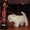 Киевский питомник Magic Lodestar предлагает замечательного щенка (ДЕВОЧКА) пород - <ro>Изображение</ro><ru>Изображение</ru> #3, <ru>Объявление</ru> #811677
