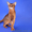 Абиссинские котята - американский тип,  питомник Sunrise 